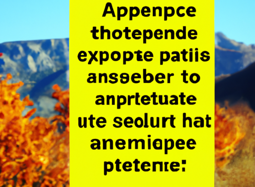 une citation de motivation aléatoire