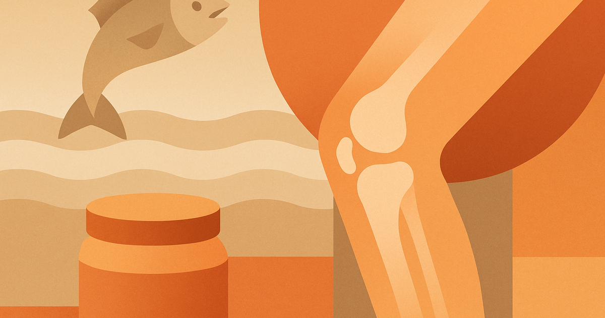 Illustration: collagène marin et articulations